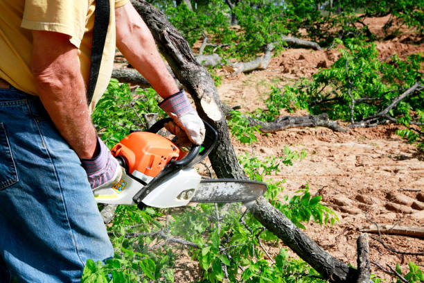 Tree Service Company in Shelby, MI